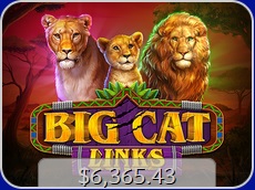Big Cat Links