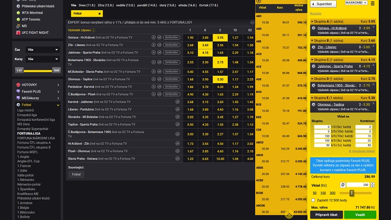 Náhled kombinovaného tiketu