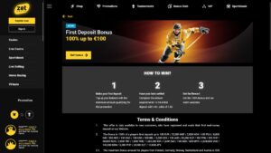 Náhled webu sázkové kanceláře ZetCasino