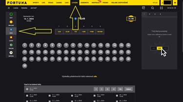 Loterie 9 z 49 průvodce sázkou