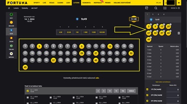 Loterie 9 z 49 průvodce sázkou