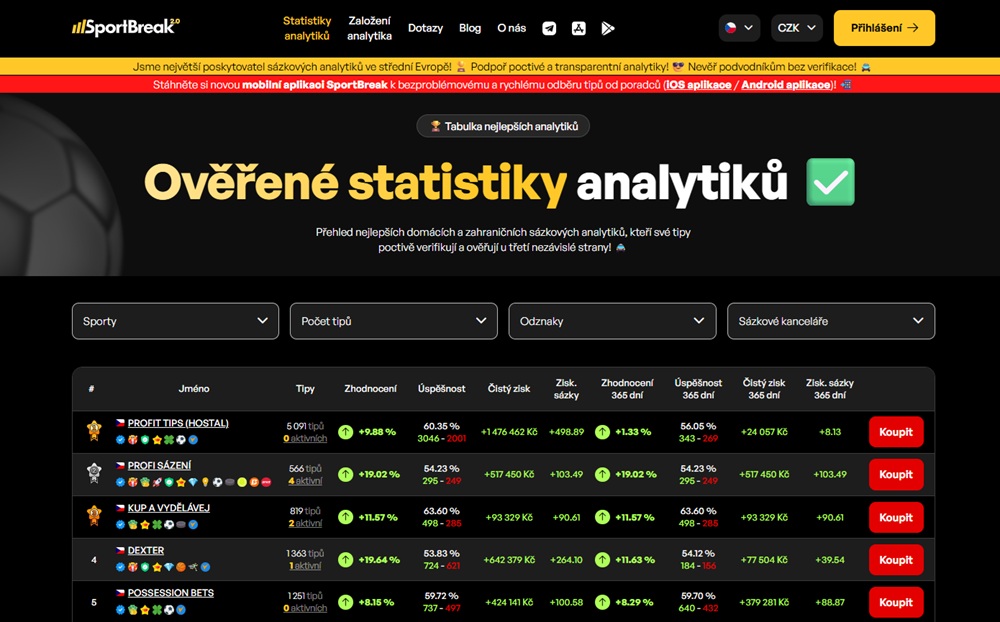 co je to verifikace úvodní