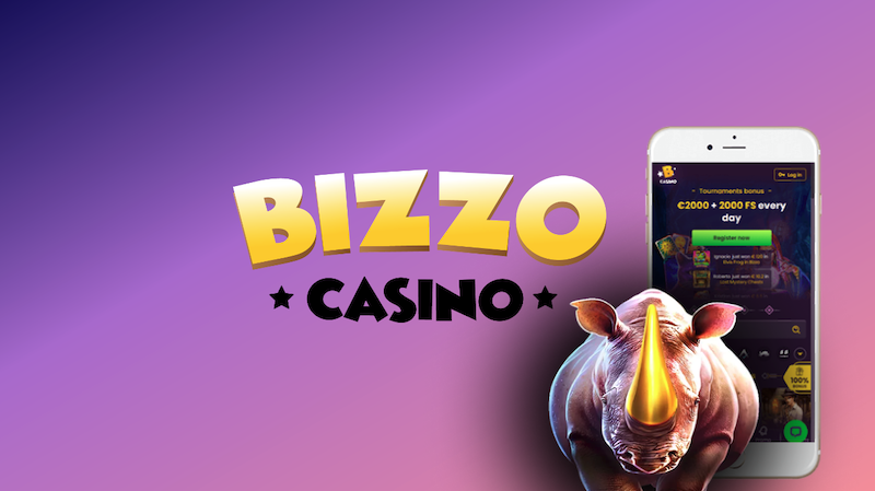 Bizzo Casino Application Interface