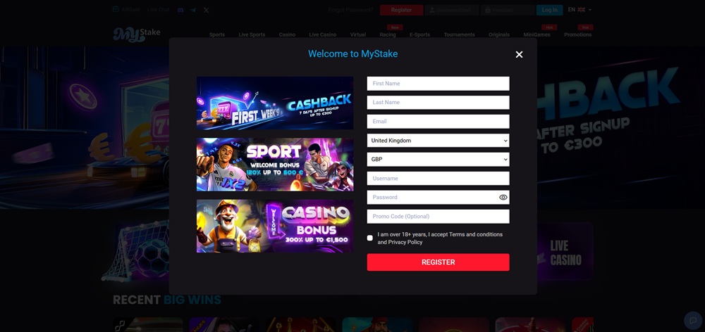 MyStake registrace úvod en