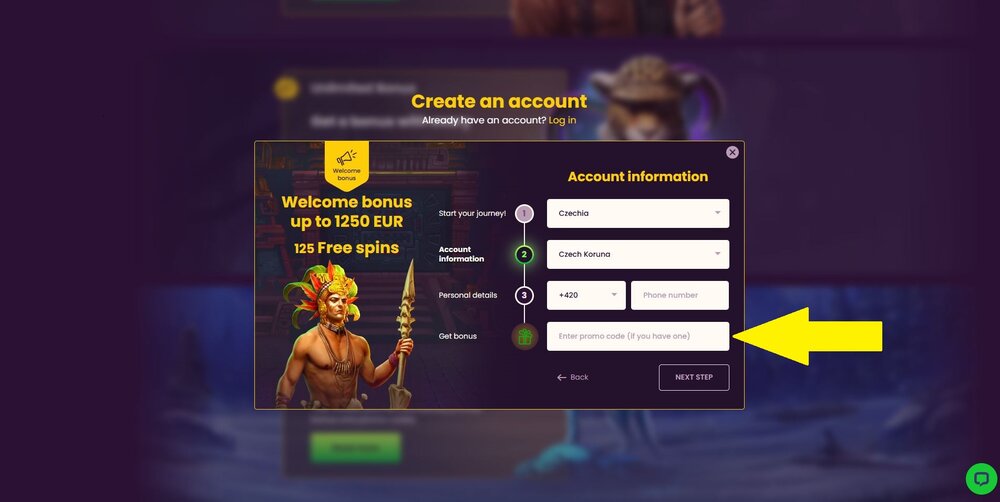 bizzo casino promo code input