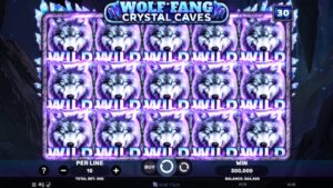 Wolf Fang: Crystal Caves foto3