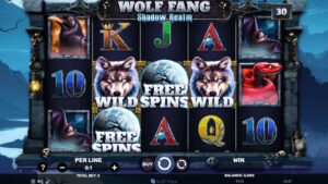 Wolf Fang: Shadow Realm foto1