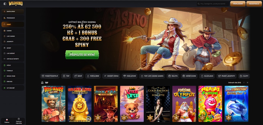 Wildsino casino homepage