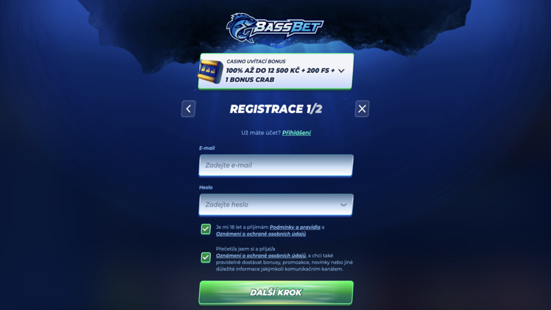 Vista previa del registro en el casino BassBet