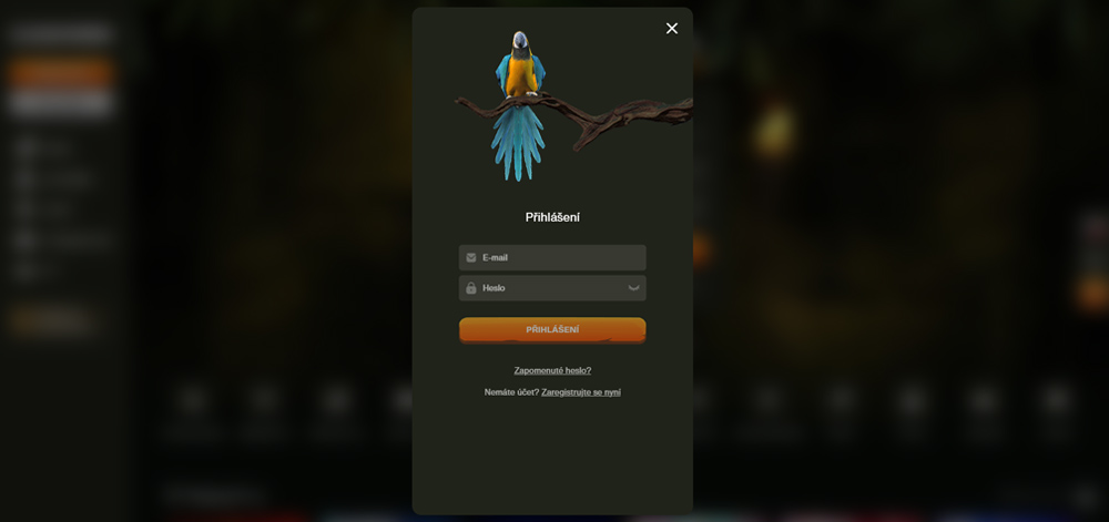 CashWin login [Guide to logging in]