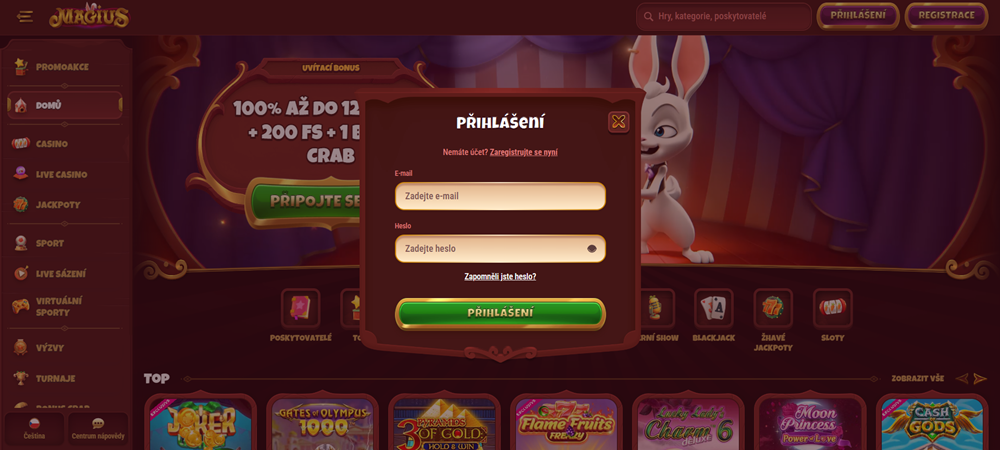 Magius login