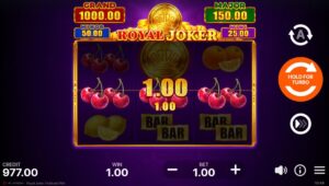 47706 rsz royal joker hold and win výhra