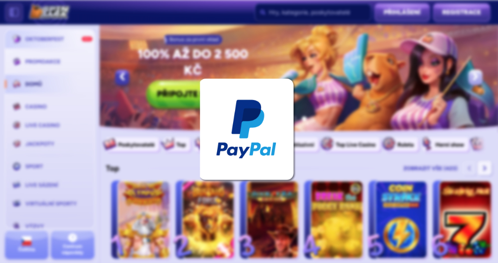 Spinbara PayPal