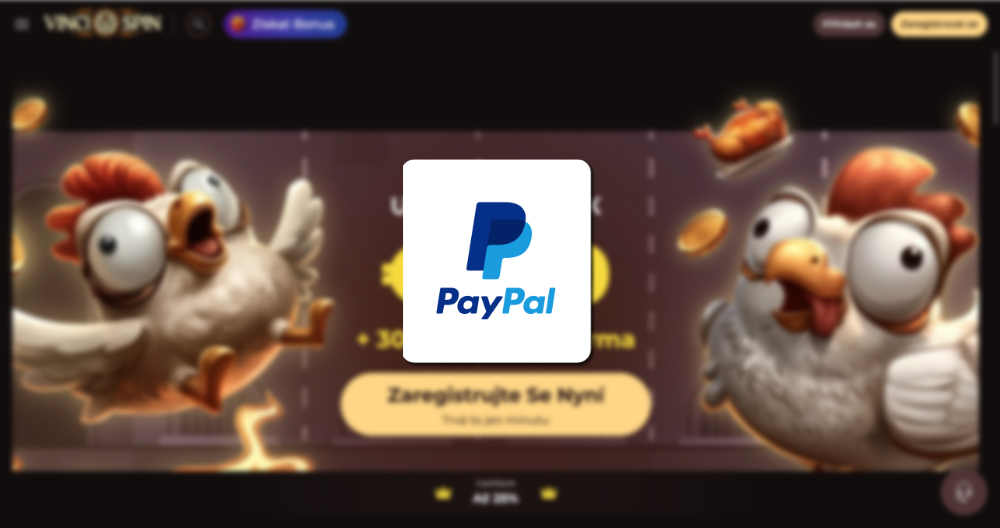 Vinci Spin PayPal