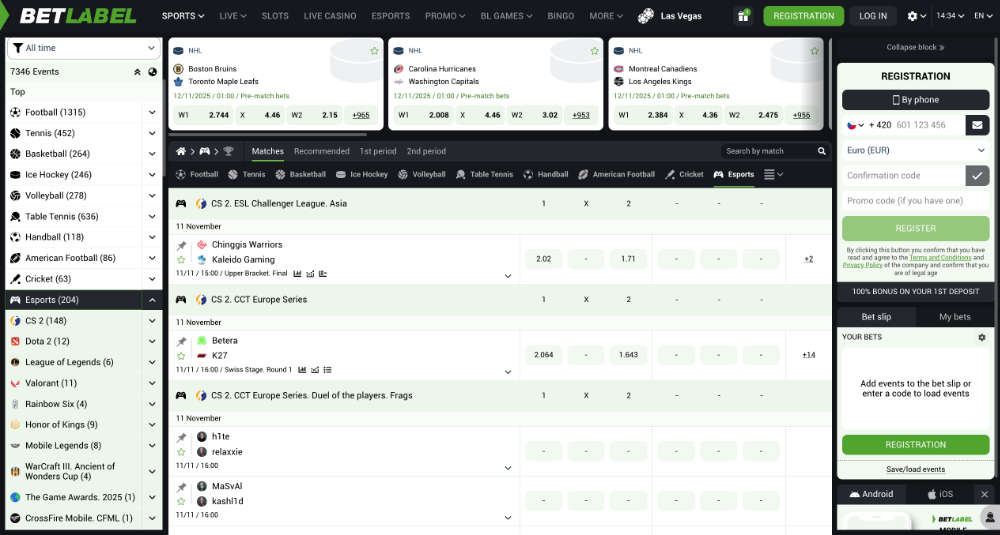 BetLabel esport Jak a na co všechno lze vsadit? úvodní
