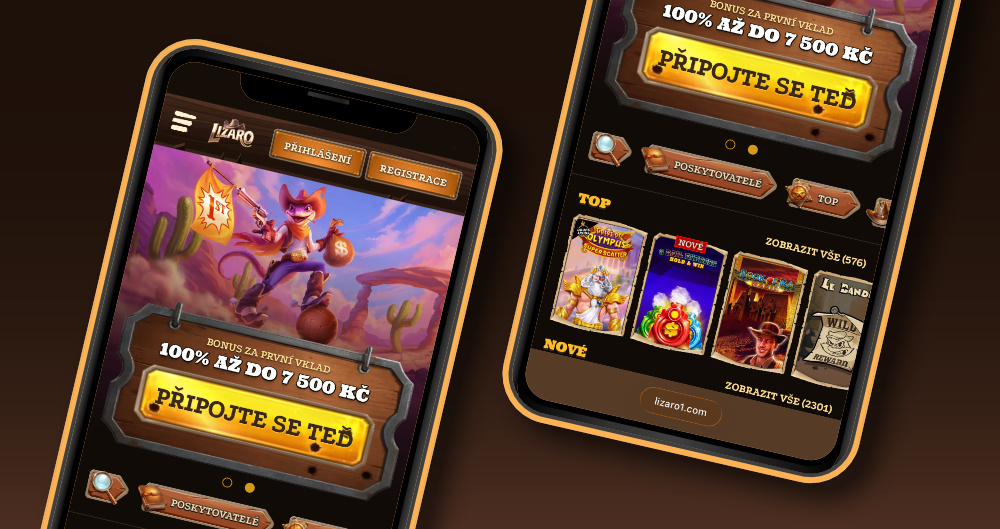 Lizaro aplikace [Jak stáhnout a nainstalovat?] úvodní