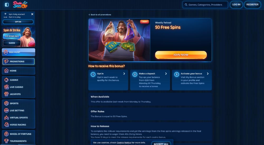 DudeSpin Free Spins