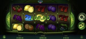 61547 Mystery Apollo 243 3