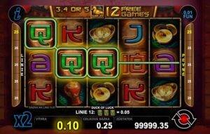 24876 Duck of Luck 3