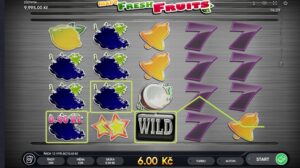 74155 More fresh fruits2