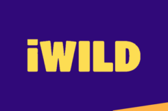 ¿Se puede obtener en el iWild Casino un bono sin depósito?